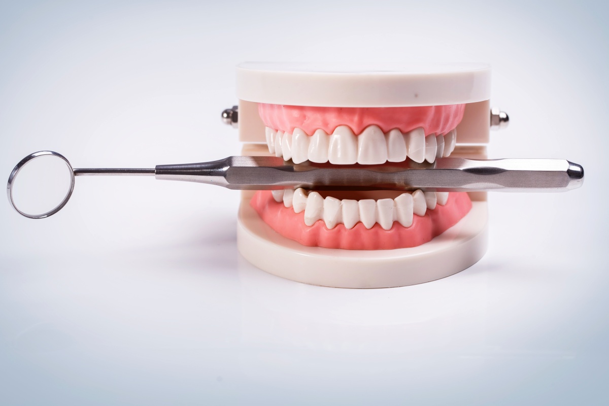 Ile zębów ma człowiek